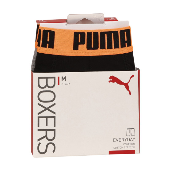 2PACK Мъжки боксерки Puma многоцветен (521015001 050)