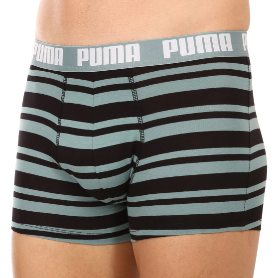 2PACK Мъжки боксерки Puma многоцветен (601015001 017)