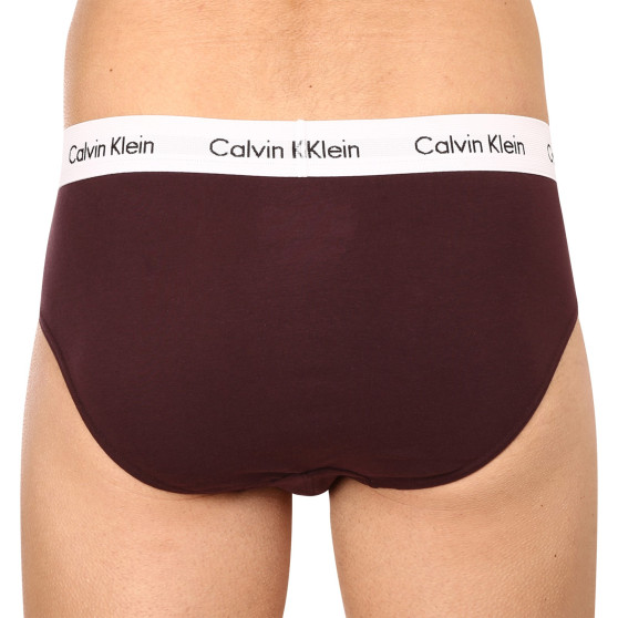 3PACK Мъжки слипове Calvin Klein многоцветен (U2661G-CAK)