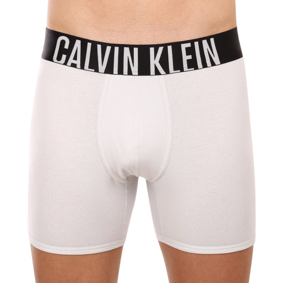 2PACK Мъжки боксерки Calvin Klein многоцветен (NB2603A-C2D)