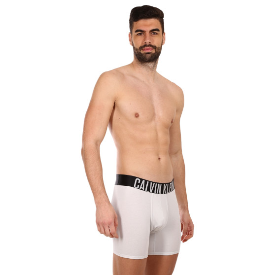 2PACK Мъжки боксерки Calvin Klein многоцветен (NB2603A-C2D)