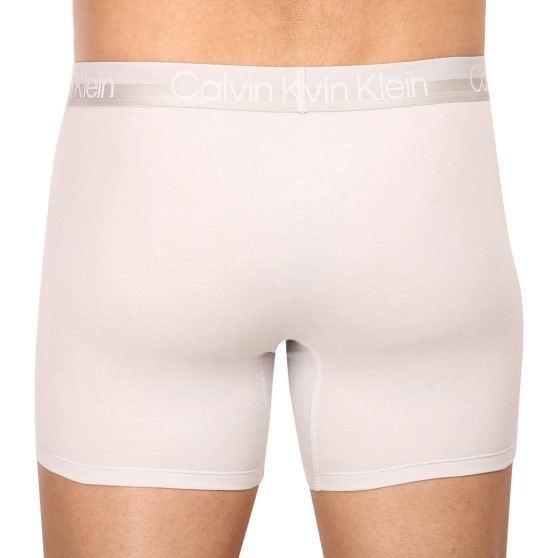 3PACK Мъжки боксерки Calvin Klein многоцветен (NB2971A-CBC)