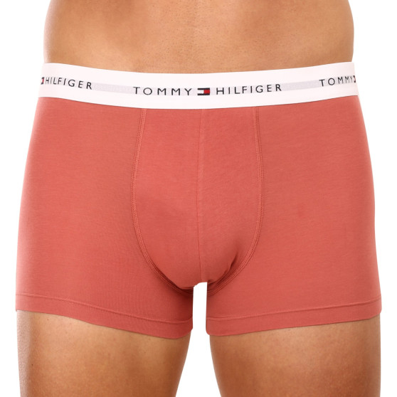 3PACK Мъжки боксерки Tommy Hilfiger многоцветен (UM0UM02761 0TF)