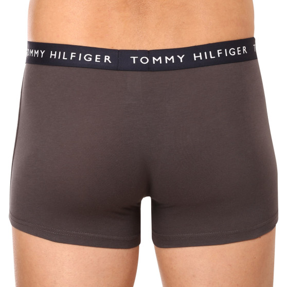 3PACK Мъжки боксерки Tommy Hilfiger многоцветен (UM0UM02203 0XX)