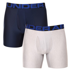 2PACK Мъжки боксерки Under Armour многоцветен (1363619 408)