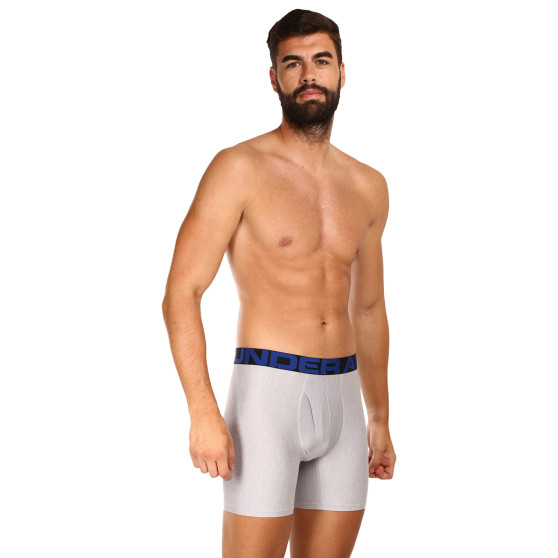 2PACK Мъжки боксерки Under Armour многоцветен (1363619 408)