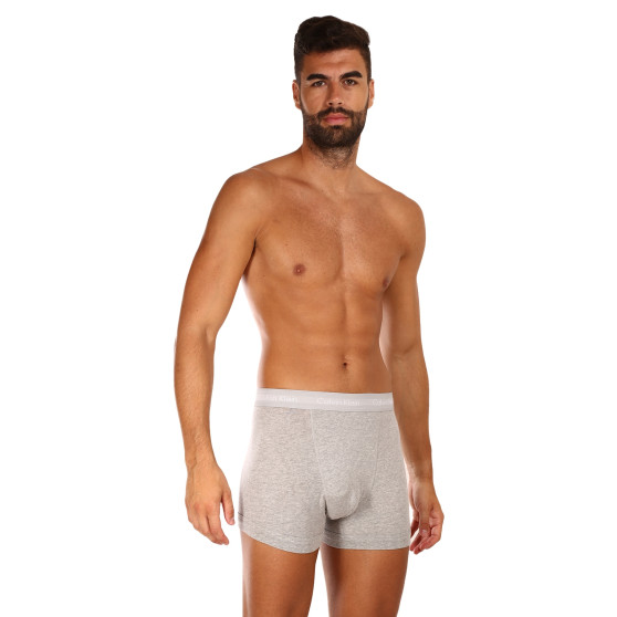 3PACK Мъжки боксерки Calvin Klein сиво (U2662G-080)