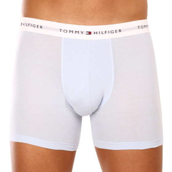 3PACK Мъжки боксерки Tommy Hilfiger многоцветен (UM0UM02941 0W8)