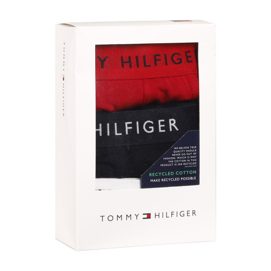 3PACK Мъжки боксерки Tommy Hilfiger многоцветен (UM0UM02203 0WS)