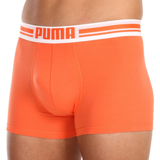 2PACK Мъжки боксерки Puma многоцветен (651003001 034)