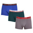 3PACK Мъжки боксерки Tommy Hilfiger многоцветен (UM0UM03007 0UF)