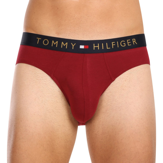 5PACK Мъжки слипове Tommy Hilfiger многоцветен (UM0UM03037 0WJ)