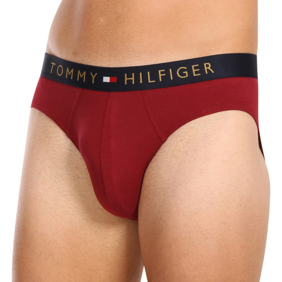 5PACK Мъжки слипове Tommy Hilfiger многоцветен (UM0UM03037 0WJ)