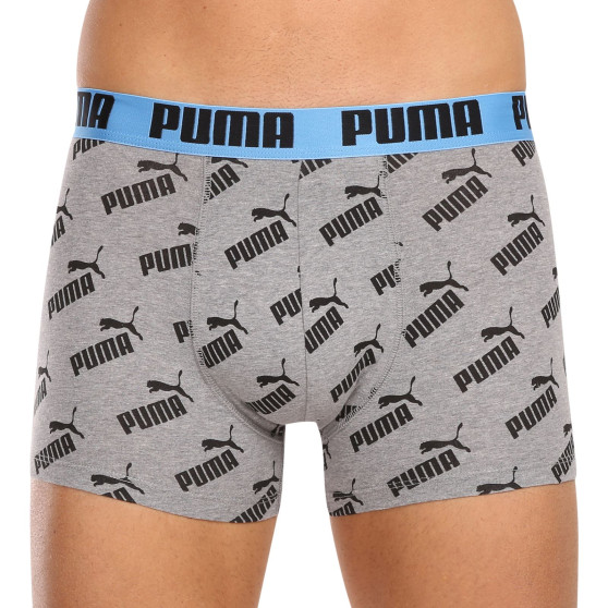 2PACK Мъжки боксерки Puma многоцветен (100001512 013)