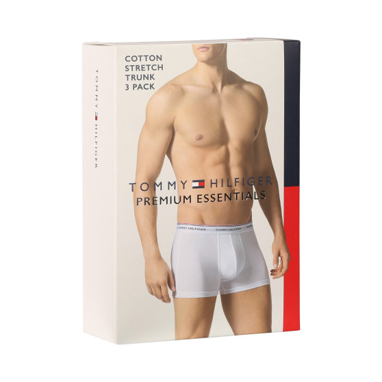 3PACK Мъжки боксерки Tommy Hilfiger многоцветен (1U87903842 611)