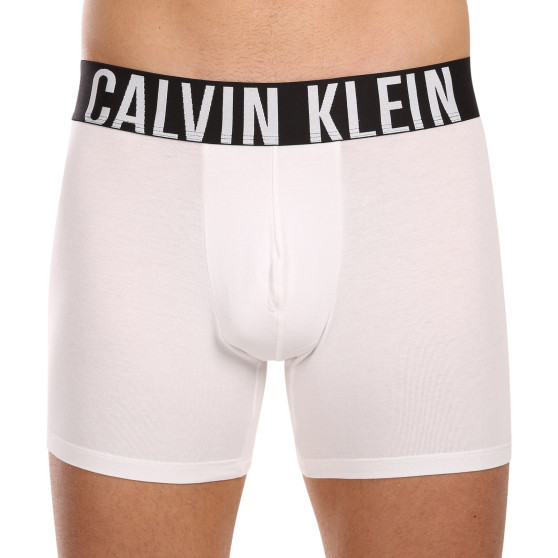 3PACK Мъжки боксерки Calvin Klein многоцветен (NB3609A-MP1)