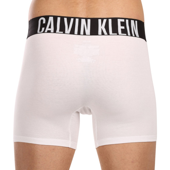 3PACK Мъжки боксерки Calvin Klein многоцветен (NB3609A-MP1)