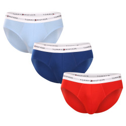 3PACK Мъжки слипове Tommy Hilfiger многоцветен (UM0UM02764 0XZ)