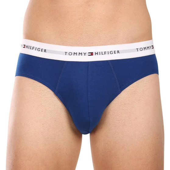 3PACK Мъжки слипове Tommy Hilfiger многоцветен (UM0UM02764 0XZ)