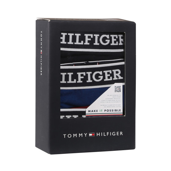 3PACK Мъжки боксерки Tommy Hilfiger многоцветен (UM0UM03185 0SX)