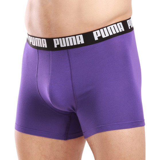 2PACK Мъжки боксерки Puma многоцветен (701226387 015)