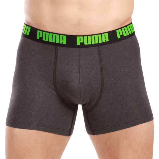 2PACK Мъжки боксерки Puma многоцветен (701226387 018)