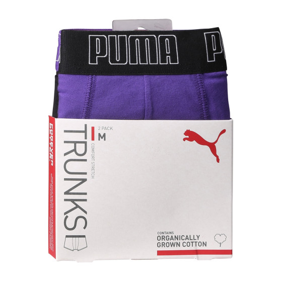 2PACK Мъжки боксерки Puma многоцветен (701226388 013)