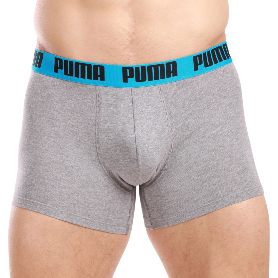 2PACK Мъжки боксерки Puma многоцветен (701226387 019)