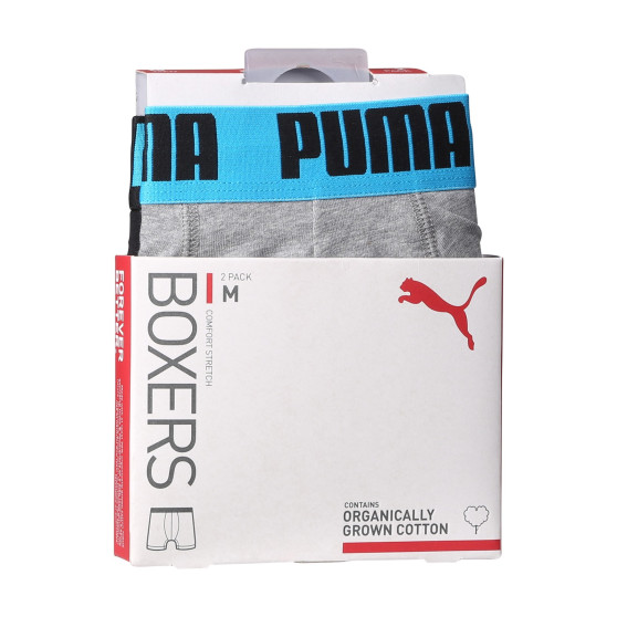 2PACK Мъжки боксерки Puma многоцветен (701226387 019)