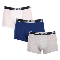 3PACK Мъжки боксерки Tommy Hilfiger многоцветен (UM0UM03185 0YZ)