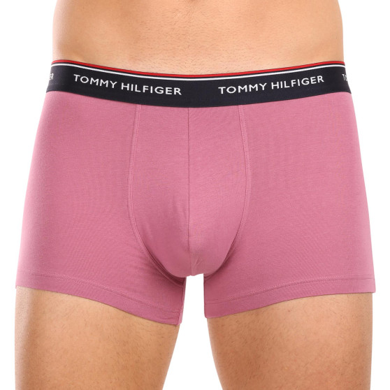 3PACK Мъжки боксерки Tommy Hilfiger многоцветен (1U87903842 0XV)