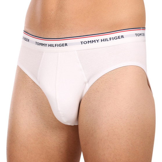 3PACK Мъжки слипове Tommy Hilfiger многоцветен (1U87903766 004)