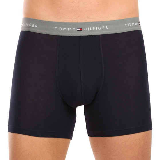 3PACK Мъжки боксерки Tommy Hilfiger тъмно синьо (UM0UM02765 0VH)