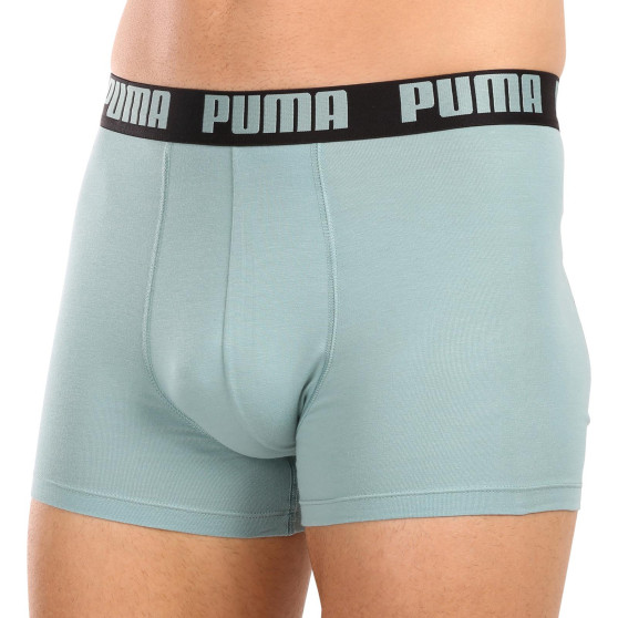 2PACK Мъжки боксерки Puma многоцветен (521015001 061)