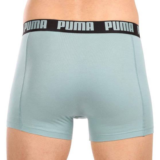 2PACK Мъжки боксерки Puma многоцветен (521015001 061)