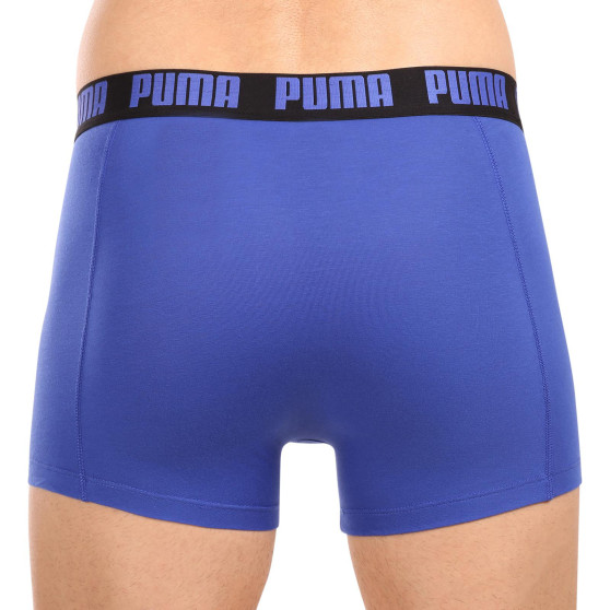 2PACK Мъжки боксерки Puma многоцветен (521015001 063)