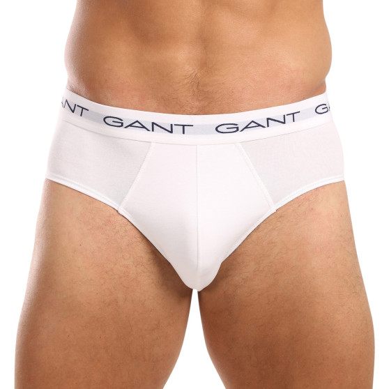 3PACK Мъжки слипове Gant многоцветен (900013001-093)