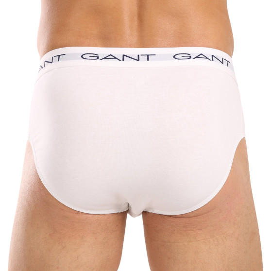 3PACK Мъжки слипове Gant многоцветен (900013001-093)