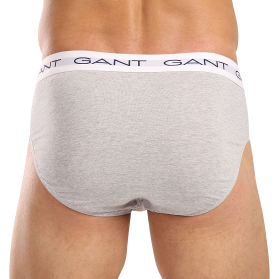 3PACK Мъжки слипове Gant многоцветен (900013001-093)