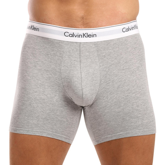 3PACK Мъжки боксерки Calvin Klein многоцветен (NB2381A-N2I)