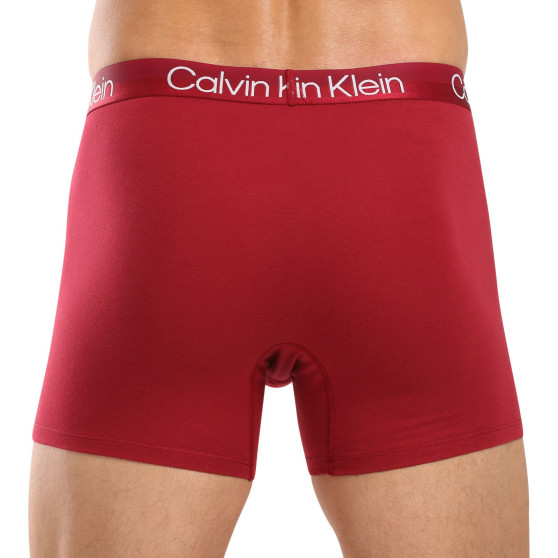 3PACK Мъжки боксерки Calvin Klein многоцветен (NB2971A-MCI)