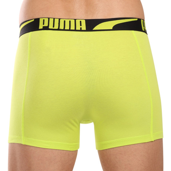 2PACK Мъжки боксерки Puma многоцветен (701225876 001)