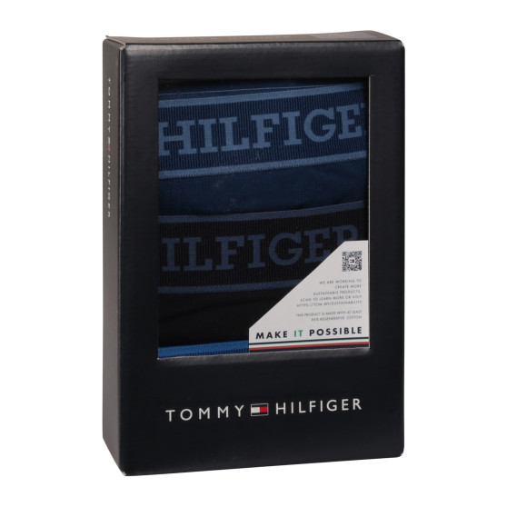 3PACK Мъжки боксерки Tommy Hilfiger многоцветен (UM0UM03413 0XW)