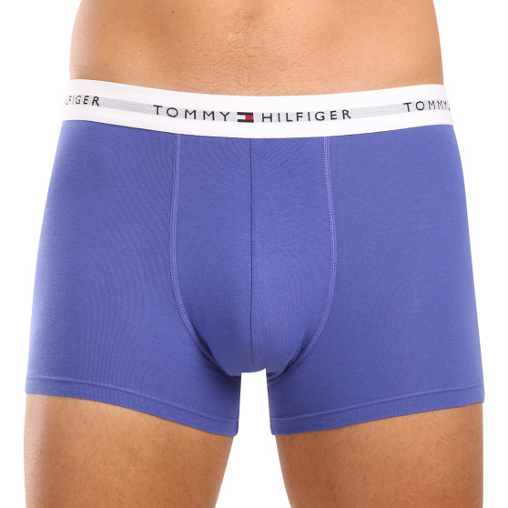 3PACK Мъжки боксерки Tommy Hilfiger многоцветен (UM0UM02761 0UI)